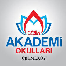 Çözüm Akademi