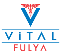 Vital Fulya