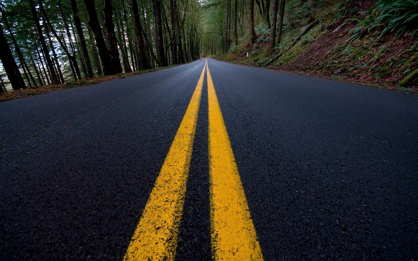 Yol Çizgi Uygulamaları